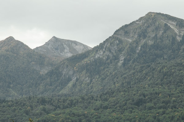 Стандартный номер